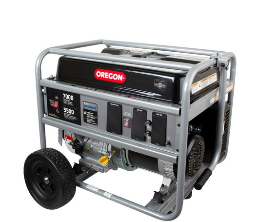 BRIGGS and STRATTON Oregon 5500W Portable Generator